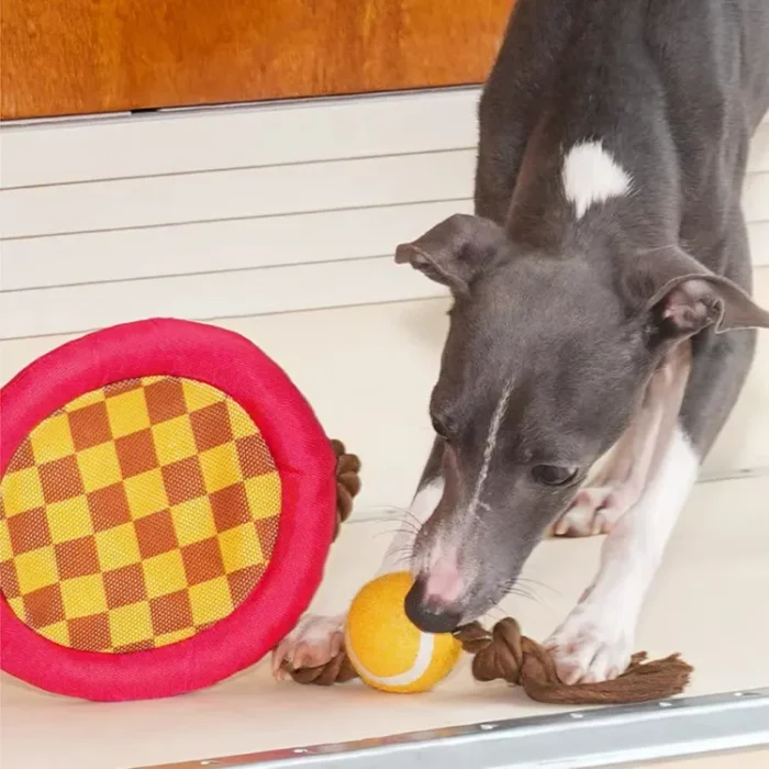 Play fetch and tug-of-war with the "Paw-ltimate Smasher" tennis racket toy. Its reinforced rope and durable chew ball make every interaction fun and perfect for bonding.