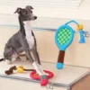 Play fetch and tug-of-war with the "Paw-ltimate Smasher" tennis racket toy. Its reinforced rope and durable chew ball make every interaction fun and perfect for bonding.