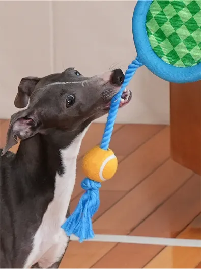 Play fetch and tug-of-war with the "Paw-ltimate Smasher" tennis racket toy. Its reinforced rope and durable chew ball make every interaction fun and perfect for bonding.